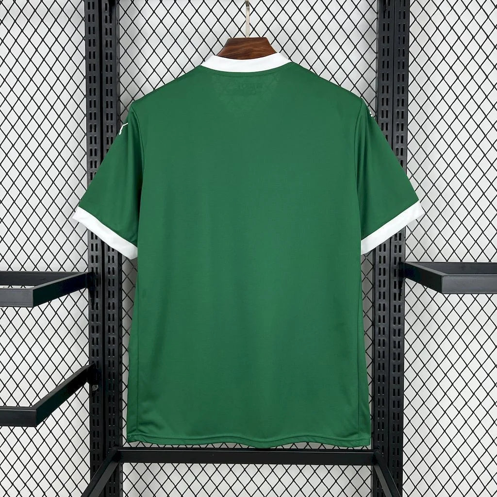 Maillot Palmeiras Domicile 2025/26